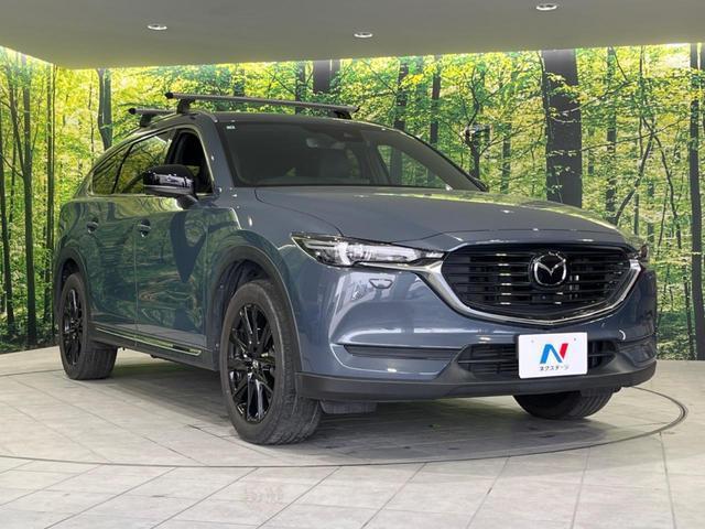 23149608_carP_l_11.jpg