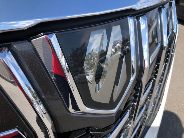1020595A30260228W00112.jpg