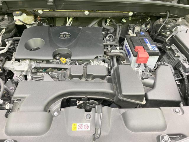 23262550_carP_l_16.jpg