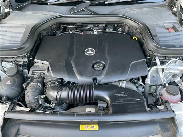 21959849_carP_l_6.jpg