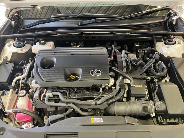 bc35e420484db26419854e97beca745f.jpg