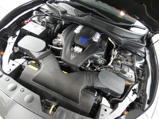 21909437_carP_l_6.jpg