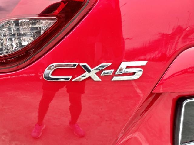 c2924cda8835d8c990283afecc59fd1d.jpeg