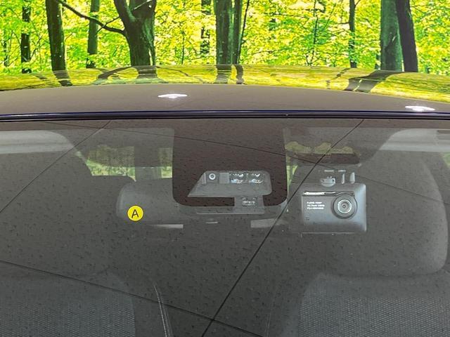 21236962_carP_l_15.jpg