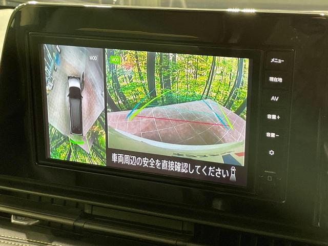 20992498_carP_l_14.jpg