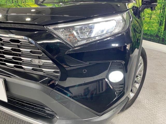 23188614_carP_l_7.jpg