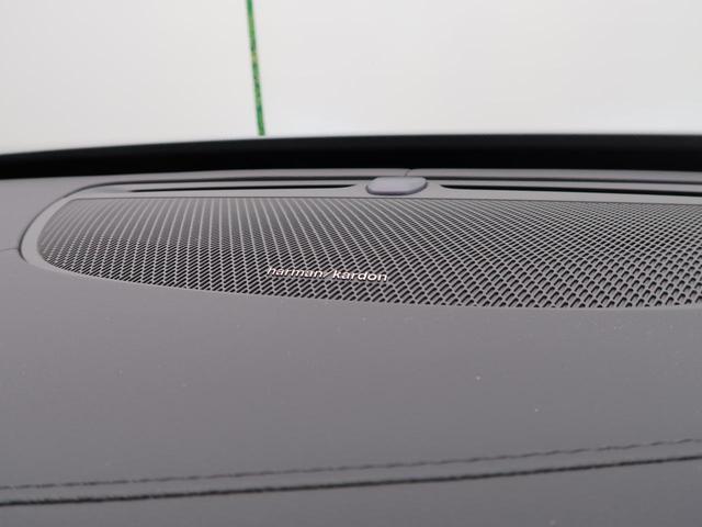 23033982_carP_l_13.jpg