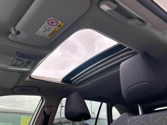 22466164_carP_l_14.jpg