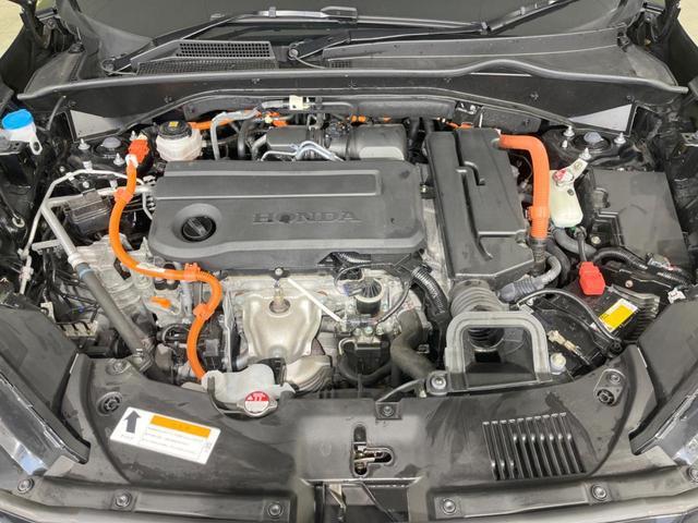 21946935_carP_l_16.jpg