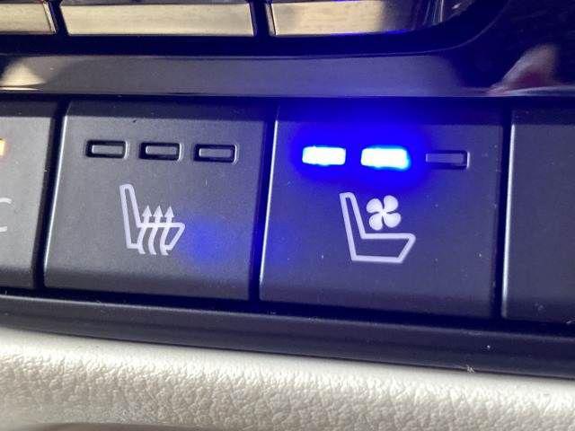 fca41d5aa2cd545d2c44b20e071d692c.jpg