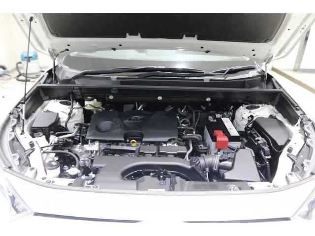 21876628_carP_l_17.jpg
