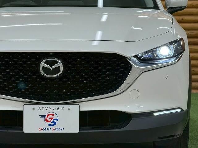 21793586_carP_l_12.jpg