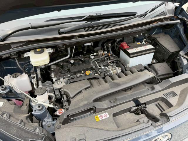 23170206_carP_l_20.jpg
