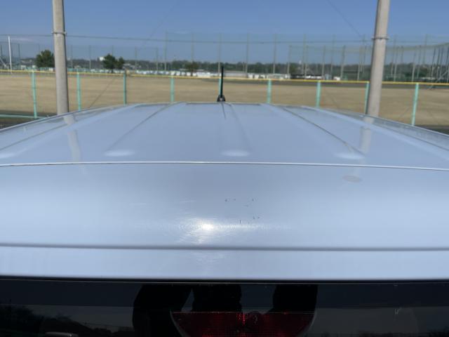 22645497_carP_l_11.jpg