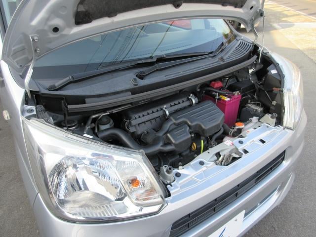 16726800_carP_l_10.jpg