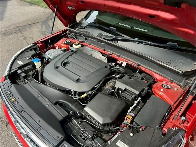 19893576_carP_l_6.jpg