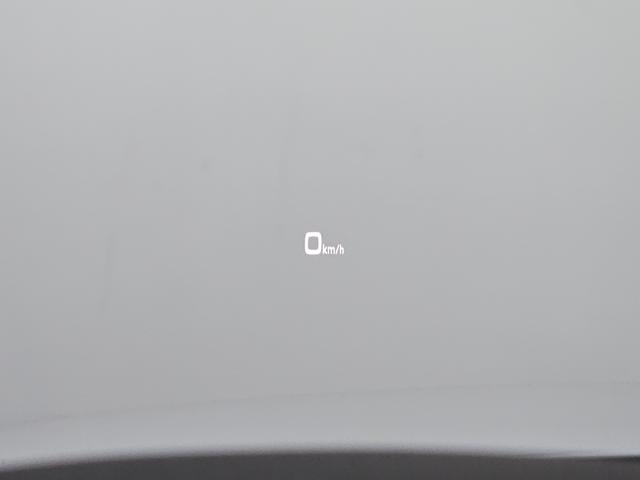 141767709142fc0ff972bc1bf57e7c44.jpeg