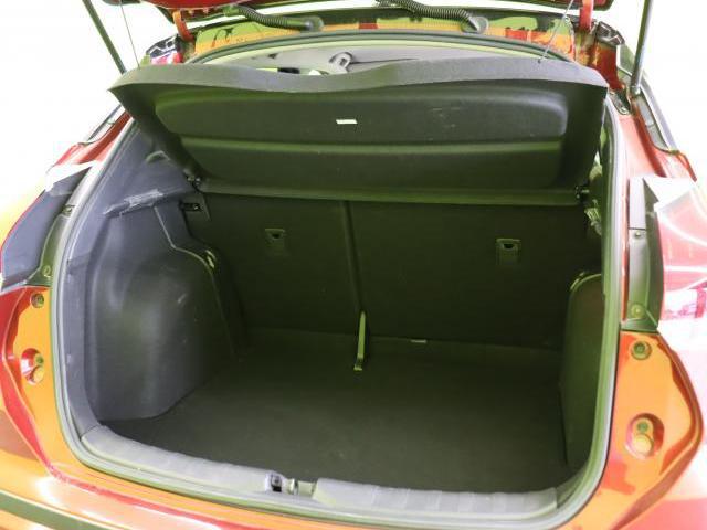 22070995_carP_l_2.jpg