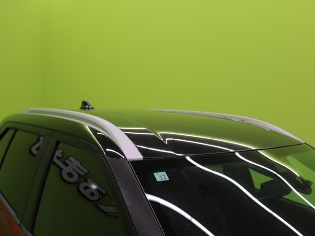 22070995_carP_l_5.jpg