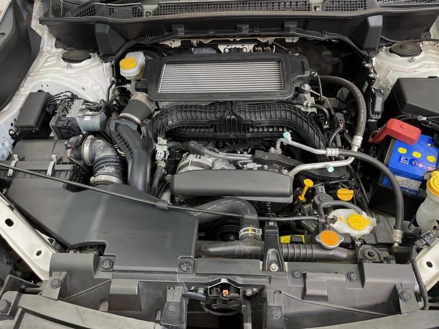 22334660_carP_l_18.jpg