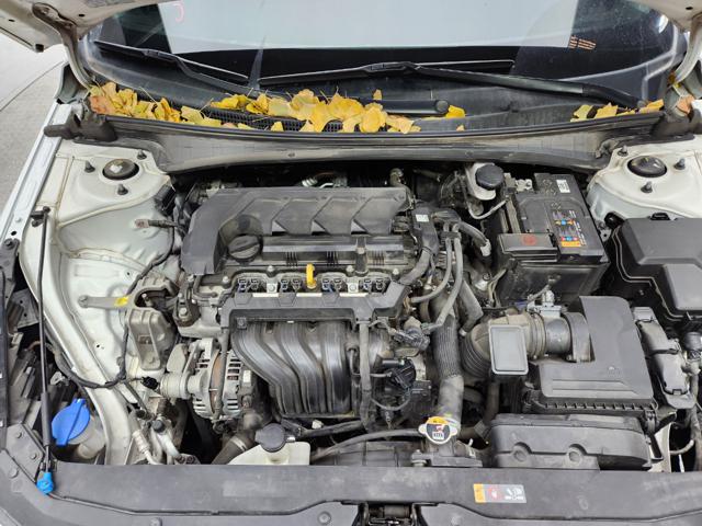 lotterental_162341449_BxOPt_4.jpg