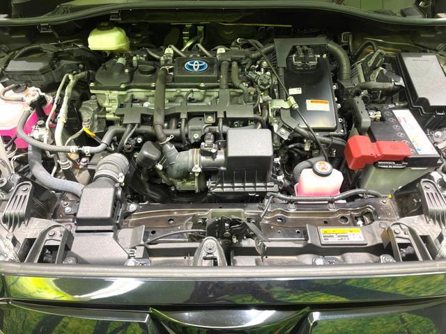 20956726_carP_l_16.jpg