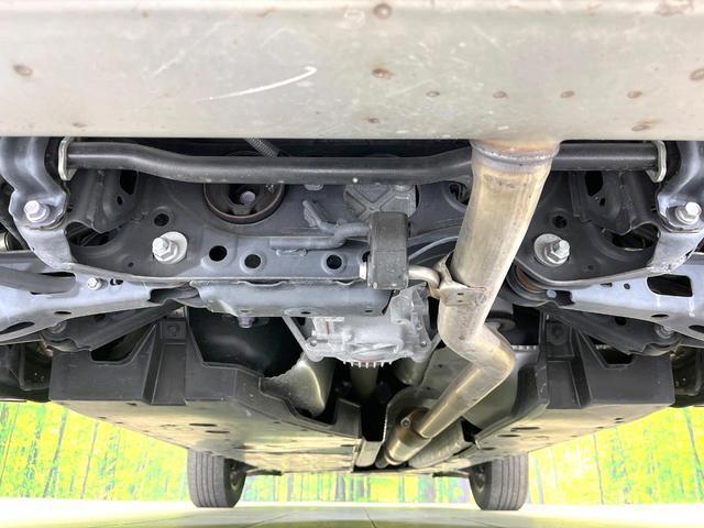 22562472_carP_l_18.jpg