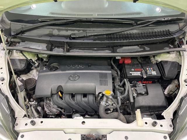 21619740_carP_l_16.jpg