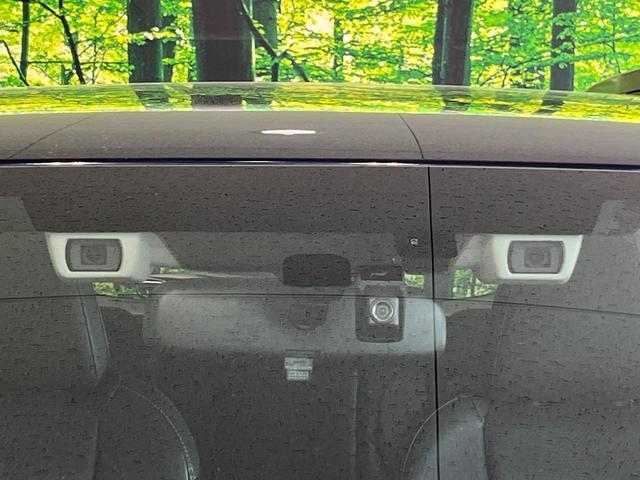 23074560_carP_l_15.jpg