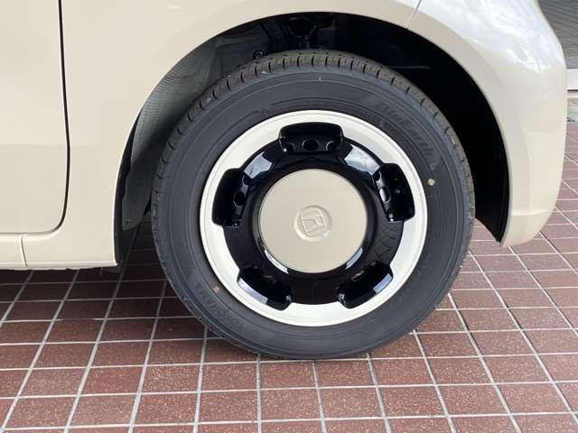 19804288_carP_l_11.jpg
