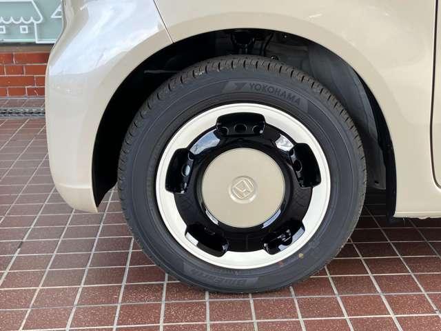 19804288_carP_l_18.jpg