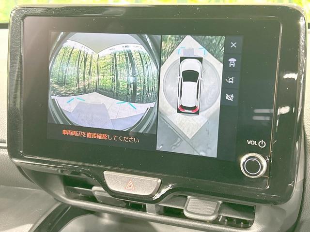 21854603_carP_l_10.jpg