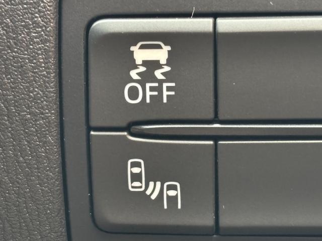 22504751_carP_l_6.jpg