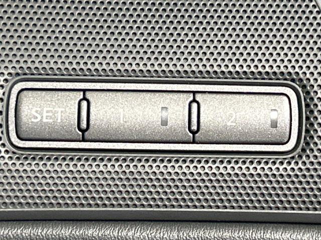 21654760_carP_l_13.jpg