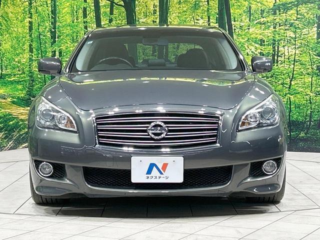 21654760_carP_l_8.jpg