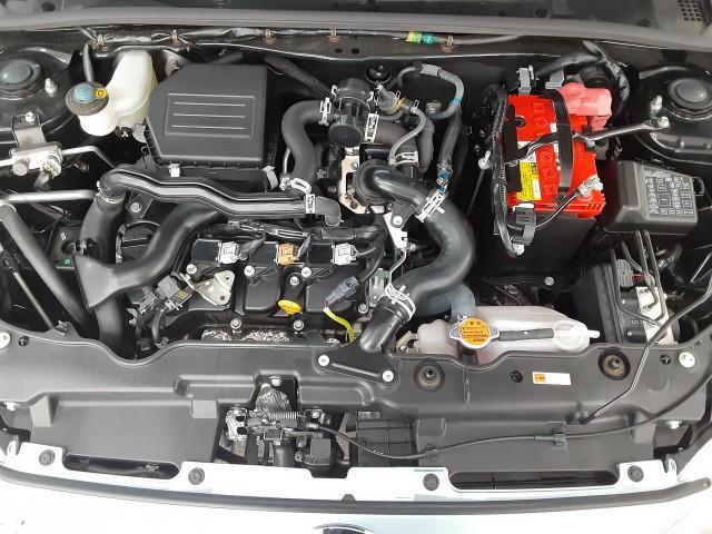 16448716_carP_l_17.jpg