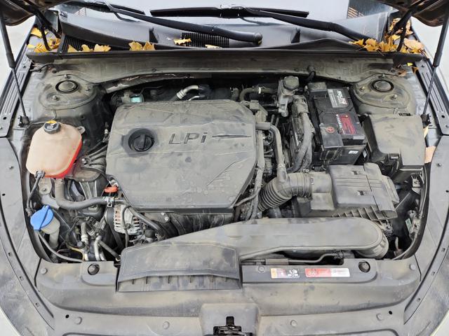 lotterental_133249851_P3lIv_4.jpg