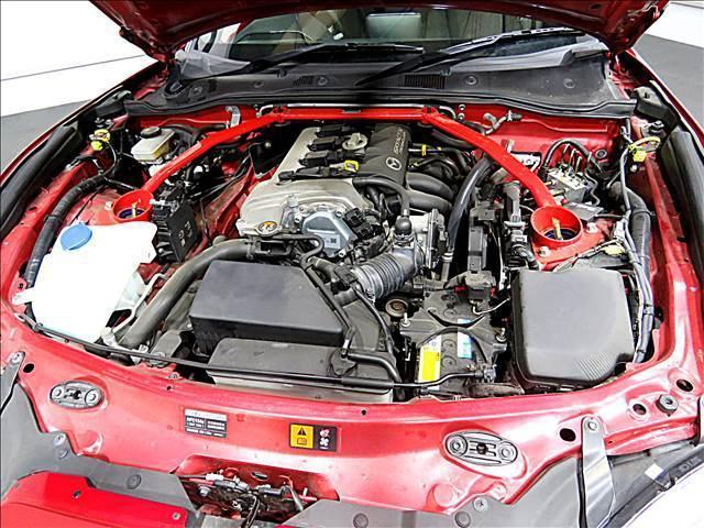 14506964_carP_l_17.jpg