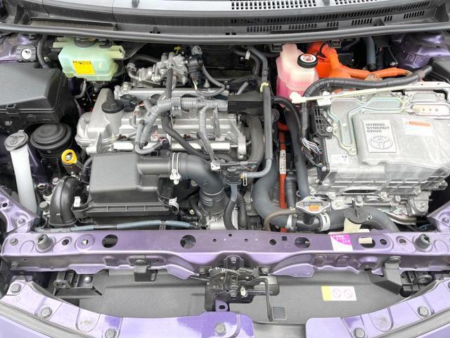 21946986_carP_l_18.jpg