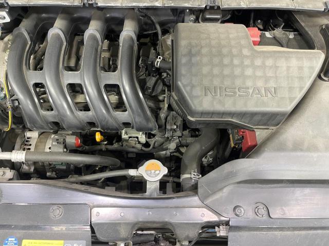 23150067_carP_l_18.jpg