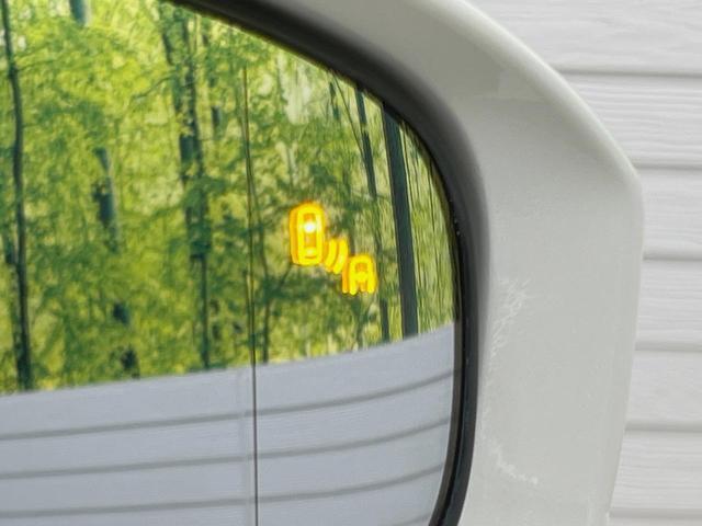 23187697_carP_l_14.jpg