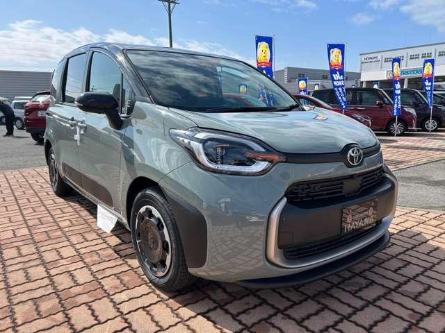 22311568_carP_l_6.jpg