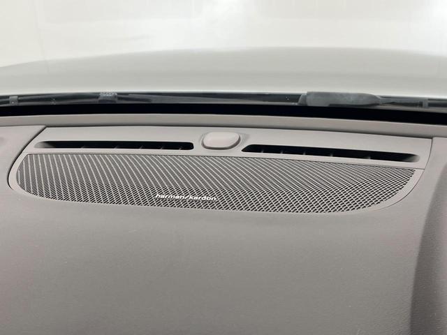 23074116_carP_l_10.jpg