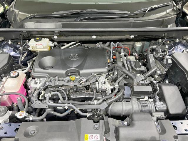 21566193_carP_l_12.jpg