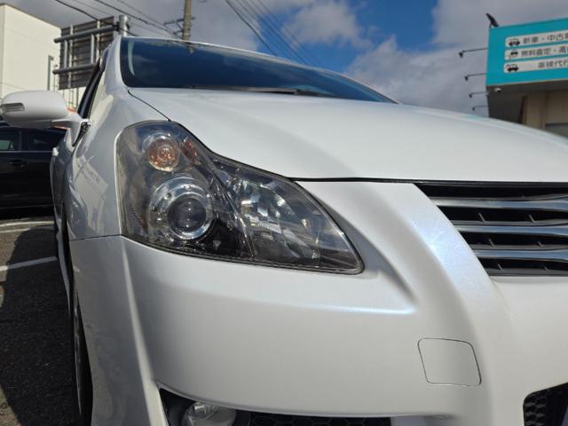 aea0085ba015f812aa6ff8984be33689.jpeg