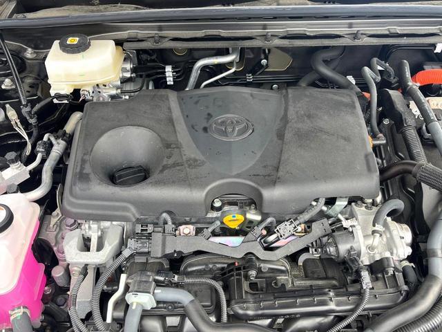 22994190_carP_l_16.jpg