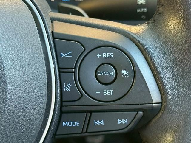 19925084_carP_l_10.jpg