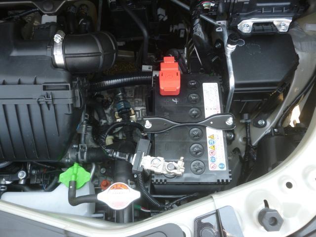 5814705_carP_l_18.jpg