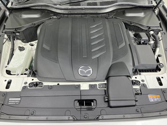 23054742_carP_l_18.jpg