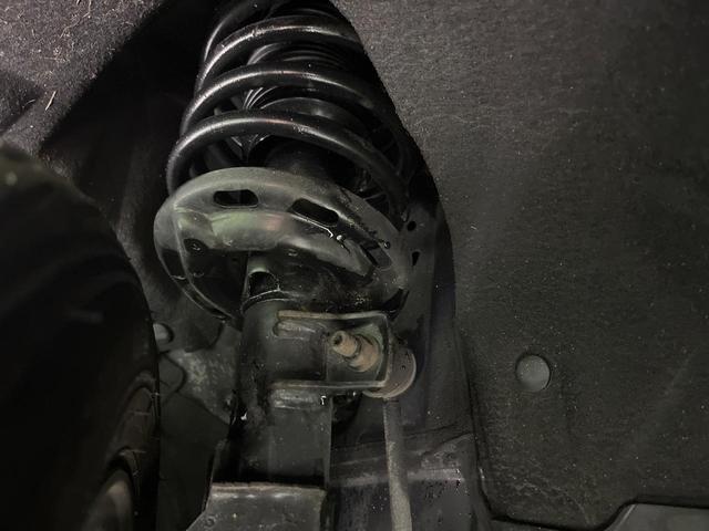 23130656_carP_l_20.jpg